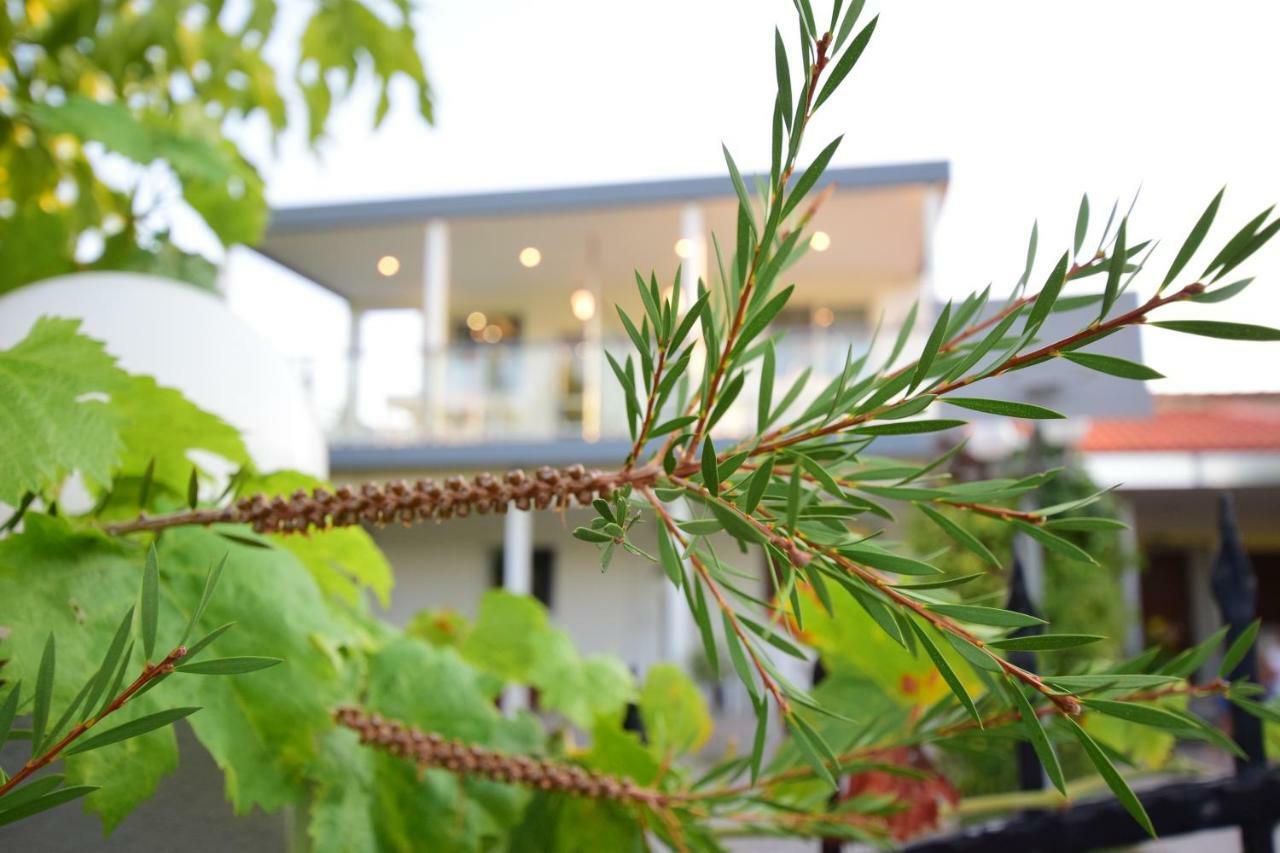 Vista Luxury Suites Toroni Halkidiki 1Br Exteriör bild
